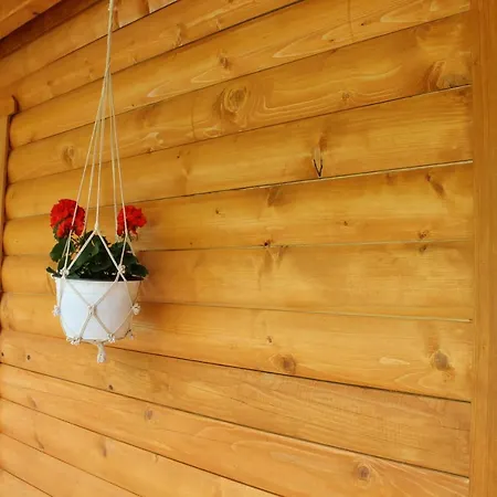 Nadiaa Wood House فيلة *