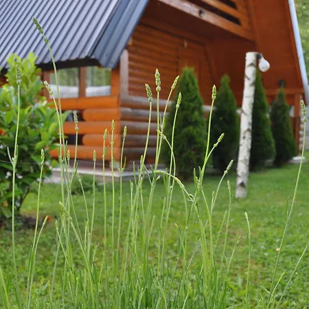 Villa Nadiaa Wood House *